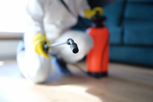 Best Mold Documentation for Insurance Claims  in West Glens Falls, NY