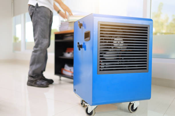Best Airborne Mold Testing  in West Glens Falls, NY