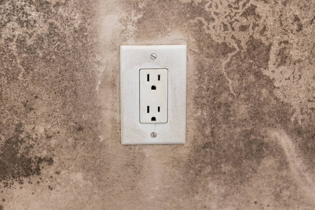 Best Residential Mold Inspection & Testing  in West Glens Falls, NY